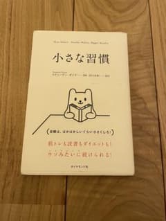 小さな習慣 スティーブン・ガイズ著のサムネイル