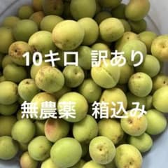 梅10キロ 無農薬 箱込み 訳ありのサムネイル