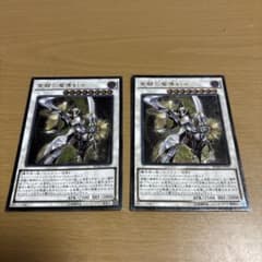 遊戯王 覚醒の魔導剣士 2枚セットのサムネイル
