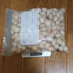 銀杏　500グラム　大粒　激安のサムネイル