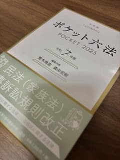 ポケット六法 POCKET 2025のサムネイル
