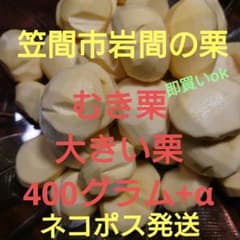 笠間市 大きいむき栗 400グラムのサムネイル