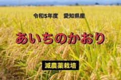 あいちのかおりのサムネイル