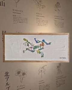 ARC'TERYX アークテリクスBotanical Birdプリント 手ぬぐい ARC'TERYX アークテリクスBotanical Birdプリント 手ぬぐい - メルカリ