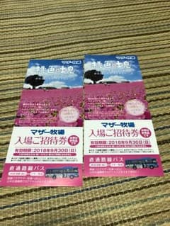 なっち様専用   夏も使える  マザー牧場 入場券  ２枚セットのサムネイル