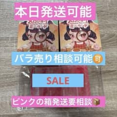 Mellojoy メロジョイ ミニランド 2箱セット - メルカリ