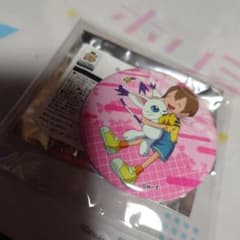 デジモンアドベンチャー 缶バッジ ヒカリ テイルモン - メルカリ