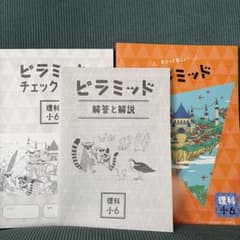 ピラミッド 理科 小6 セットのサムネイル