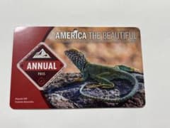 AMERICA THE BEAUTIFUL PASSのサムネイル