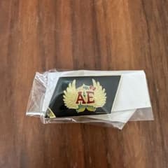 ANGEL EYES ピンバッジ AEロゴのサムネイル