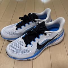 【美品】NIKE AIR ZOOM Pegasus41 メンズ24.5cmのサムネイル