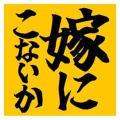 嫁にこないか おもしろ カー マグネットステッカー 13cmのサムネイル