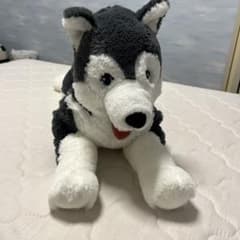 IKEA  ぬいぐるみ　ハスキー大のサムネイル