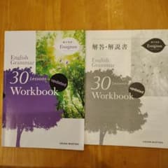 総合英語Evergreen  english grammar30ressonsのサムネイル
