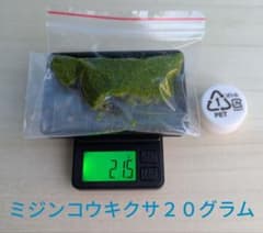 ミジンコウキクサ２０グラムのサムネイル