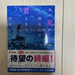 あの星が降る丘で、君とまた出会いたい。 汐見夏衛 スターツ出版文庫のサムネイル