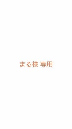 2Wayポーチ付きメタルリングクリアバッグのサムネイル