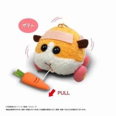 [PUI PUI 몰카] 빙글빙글 감자
