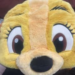 レディ ファンキャップのサムネイル