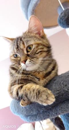 ☆プロフお読み下さい☆様のサムネイル