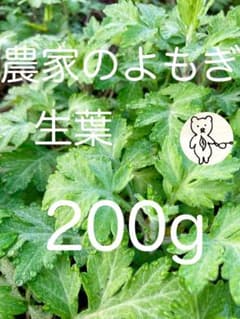 朝どれ　農家のよもぎ 生葉 200gのサムネイル