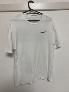 patagonia パタゴニア Tシャツのサムネイル