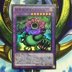 遊戯王 捕食植物 キメラフレシアのサムネイル