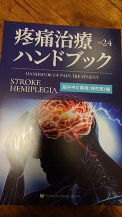 疼痛治療ハンドブック vol.24のサムネイル