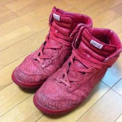 NIKE DUNK HI premiam ultimate gloryのサムネイル