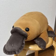 FANS カモノハシぬいぐるみXL プレミアム（全1種）