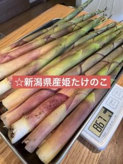 新潟県産 姫たけのこ 850gのサムネイル