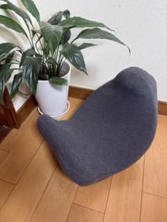 柔ら美人 開脚ベター イージースリム 健康器具 クッション 骨盤 姿勢