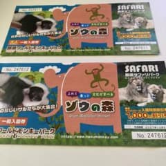 那須サファリパーク入園割引券 2枚セットのサムネイル