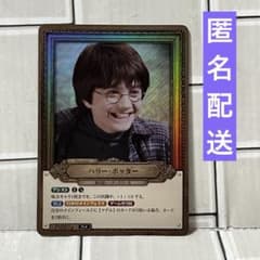 해리 포터 카드 게임 Pt007a Pt 병렬 헐리포타 TCG