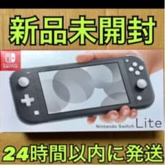 Nintendo Switch NINTENDO SWITCH LITE グレーのサムネイル