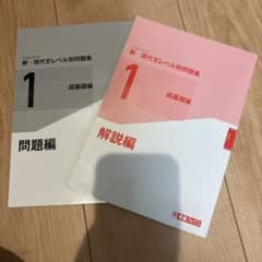 新・現代文レベル別問題集 1 超基礎編 問題編・解説編のサムネイル