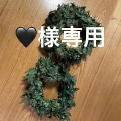 フラ、タヒチアンダンス　リーフハク２本のサムネイル