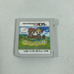 Nintendo 3DS 牧場物語 つながる新天地
