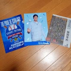 大谷翔平 クリアファイル 岩手日報 特別号外 - メルカリ
