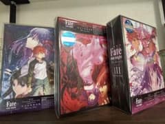 극장판 Fate / stay night [Heavens Feel] 전 3 권