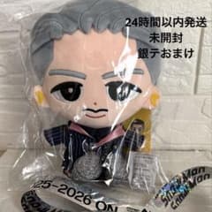 Man BIGぬいぐるみ アクスタ ラバーバンド カード 他 岩本照 SnowMan 岩本照 ぬいぐるみ ソフビ ヘアバンド アクスタ ラバーバンド