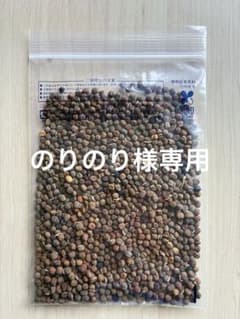 のりのり様専用スイトピー種子50グラムのサムネイル