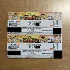 最終値下げ 阪神タイガース ファン感謝デー 2025 ライト外野席 ペア