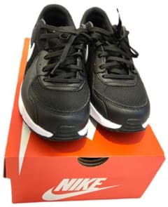 NIKE AIR MAX エクシー　CD5432-003 　24.5cmのサムネイル