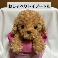 音声認識ぬいぐるみ おしゃべりトイプードル - メルカリ