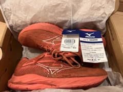 お買い得　ウェーブライダー　Mizuno 26.0のサムネイル