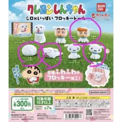 シロがいっぱいフロッキードールのサムネイル