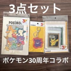 ポケモン 30周年 3点セット 付箋 キーホルダー ストックバックセット