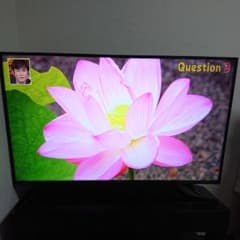 Hisense 49インチ　テレビ　HJ49K3121 ハイセンス　49型のサムネイル