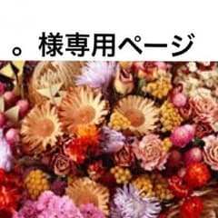 。様専用ページのサムネイル
